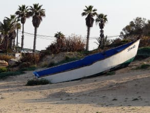 רוח%20ים%20במכמורת%20,%20מכמורת